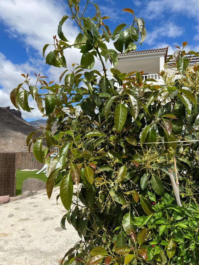 Casa Rural Con Bano Adaptado Y Piscina En Mogán Екстериор снимка